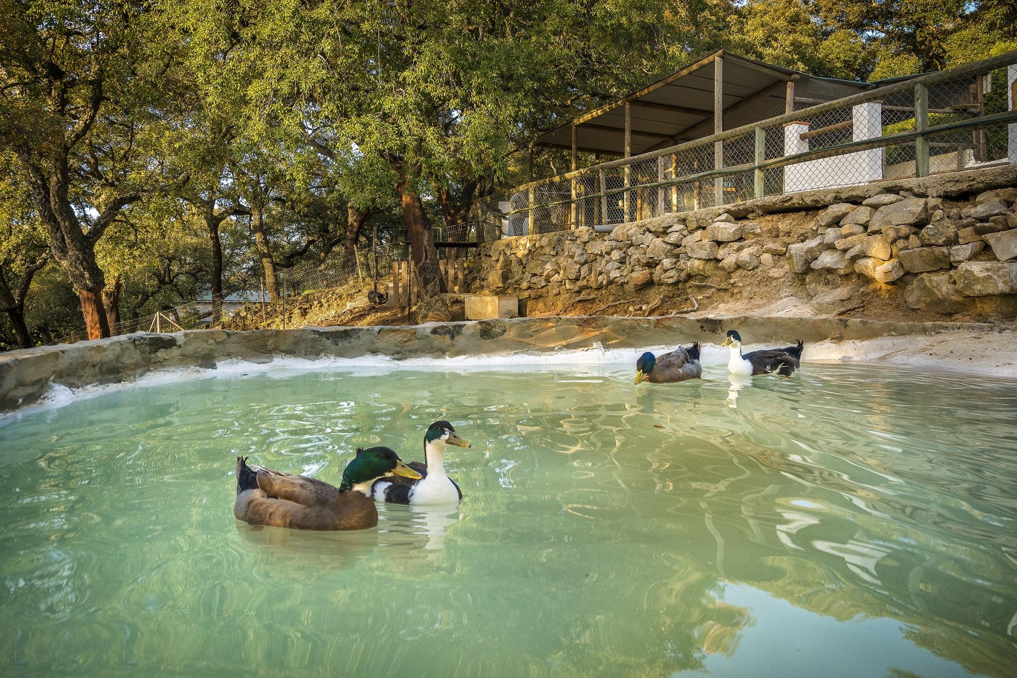 Hotel Fuerte Грасалема Экстерьер фото