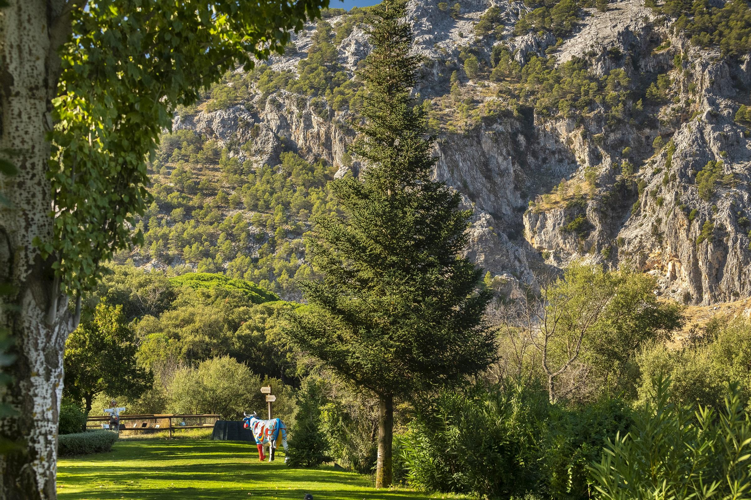 Hotel Fuerte Грасалема Экстерьер фото