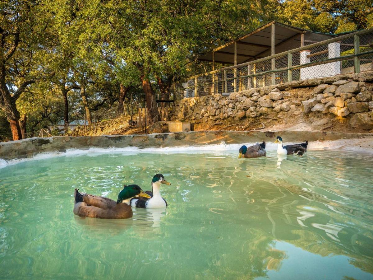 Hotel Fuerte Грасалема Экстерьер фото